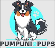 Pumpuni Pups