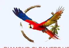 diamond cleaners usa