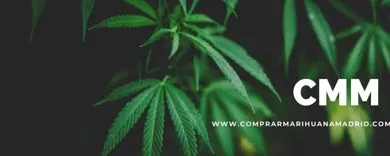 Comprar Marihuana THC Madrid