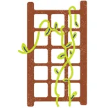 Harare Drive Garage and Trellis Doors