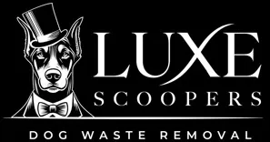 Luxe Scoopers