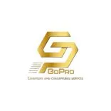 GoPro Limousine