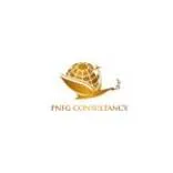 PNFG CONSULTANCY 