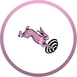 The Rabbit Hole
