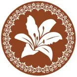 White Lily Medical Center