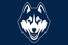 Husky Machinery mover