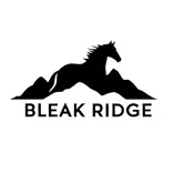 Bleak Ridge