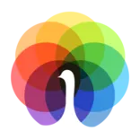 Peafowl IT Solution