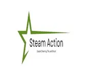Steam Action Carpet Cleaning