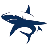 The Gulf Elasmo Project