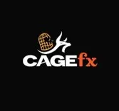 CAGE FX CONSULTING LTD