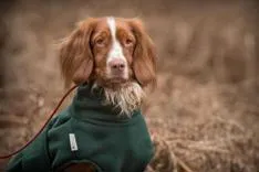 Doggie Coats