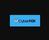 CYBERFOX LLC