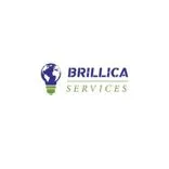 Brillica Services Data Analytics & Data Science Training Institute