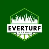 EverTurf Ramon Artificial Grass