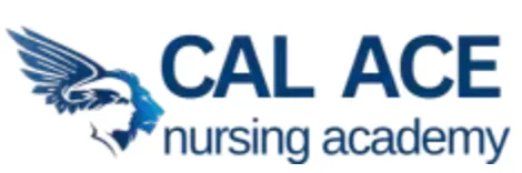 CNA School CAL ACE Nursing Academy