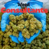 Weed Consultants