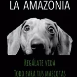 La Amazonia