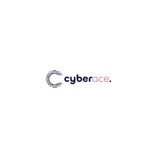 Cyber Ace | Web Development Agency Calgary
