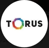 Torus Cold Press Juicers