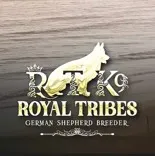 Royal Tribes K9