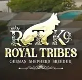 Royal Tribes K9