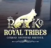Royal Tribes K9