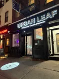 Urban Leaf