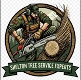 Shelton Tree Service Experts