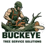 Buckeye Tree Service Solutions