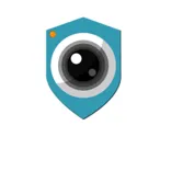 Video-Comm Security Cameras
