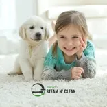 Toronto Steam' N Clean