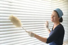 Geelong Carpet Services