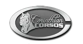 Corinthian Corsos Cane Corso Breeder