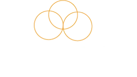 Paragonroof