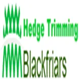 Hedge Trimming Blackfriars