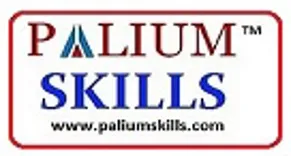 PALIUM SKILLS