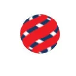 VASS INTERNATIONAL