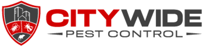 City Wide Dead Animal Removal Brisbane
