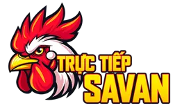 Trực tiếp đá gà