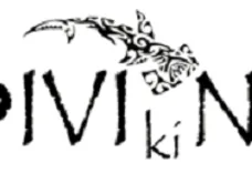 Tauchschule DivingViking