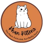 Khan kittens