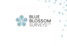 Blue Blossom Surveys Ltd