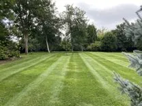 Flora Lawn & Landscaping Inc