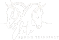 Elite Equine Transport