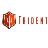 Trident Shipping & Trading Pte. Ltd.