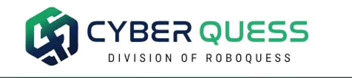 Cyber Quess