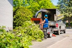 Terre Haute Tree Pros