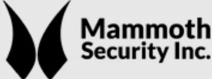 Mammoth Security Inc. Bridgeport