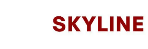 Skyline VIP Limo
